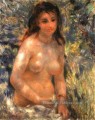 Nu au soleil Pierre Auguste Renoir
